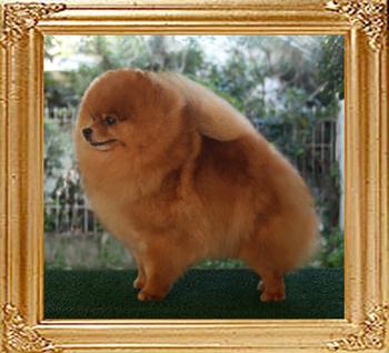 128y_Ch_Canton_Jennifer_Lopez.jpg