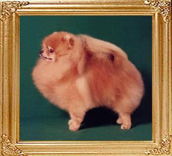 60.jpg