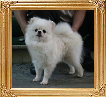 Canton_Tallelujah_3yr_3mo_2.05lbs_6078.jpg