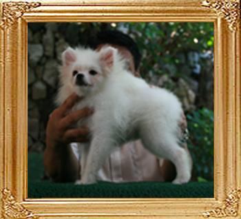 Canton_Tallelujah_4mo_10dys.jpg
