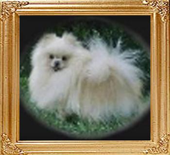 Pombredens_LIL_Choco_Elijah_16941.jpg