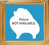 000_Blank_Picture.jpg