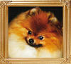 20714z_Hadleigh_Mr._Special.jpeg