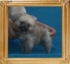 Canton_Geruld_Ford_0.88lbs_1mo_3wk_P6-6_0159.jpg