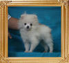 Canton_Just_Super_198lbs_3mo_3wk_P6-6_0862.jpg