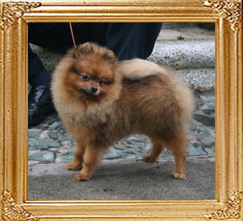 3lbs at 10months Canton_American_Rocket_10mo_3lbs_4501_.jpg