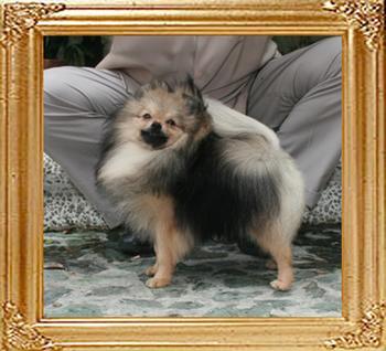 Canton_Kublai_Khan_1yr_47395.jpg