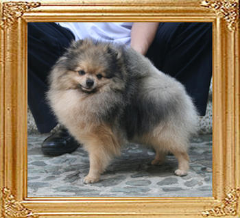Canton_Kublai_Khan_3yrs_2mo_0047_FINAL.jpg