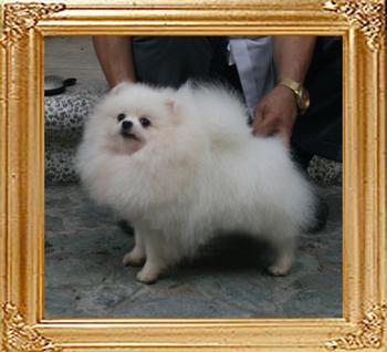 Canton_Louis_Linden_1yr_7mon_4.4lbs_8791_FINAL.jpg