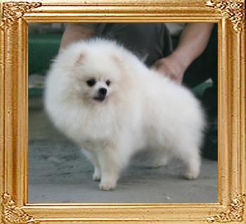 Canton_Louis_Linden_4.62lbs_1yr_4mo_6-6_5142.jpg