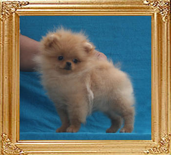 Canton_Patricia_Li_4.67lbs_P6-4_2mo_3wk_7965.jpg