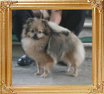 Canton_Phylis_Calvert_2yr_5.17lbs_5768.jpg