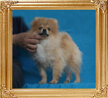 Canton_Prudence_Calvert_P6-6_5.83lbs_4mo_1wk_2473.jpg