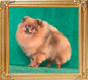 Canton_Sal_Harvey_3_yrs_1_month_0063_1.jpg