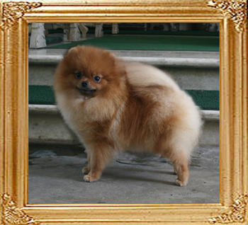 Canton_Tai-Chi_Lady_4.28lbs_1yr_2mo_6310.jpg
