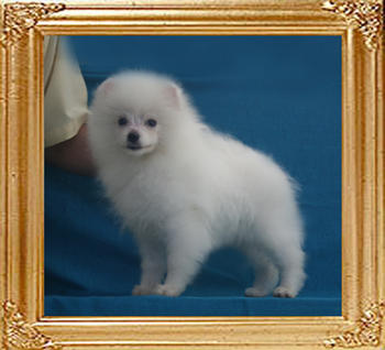 Canton_Theodore_Wayne_4mo_3.1lbs_P6-6_4237.jpg