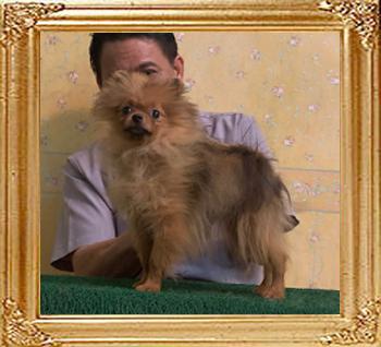 Canton_Vivenca_Harvey_4mos_3weks_3.3lbs_6694.jpg