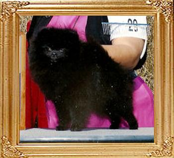 Expression_It_Is_What_It_Is_Ch_42358.jpg