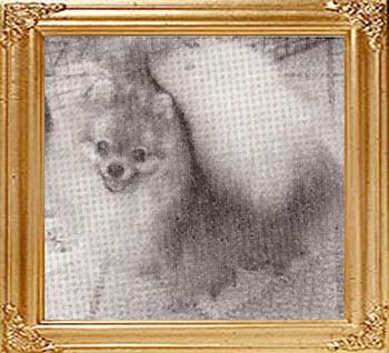 Great_Elms_Little_Duffie_5728.jpg