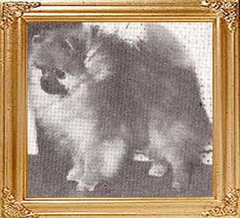 Models_Fun_Bug_Ch_10418.jpg