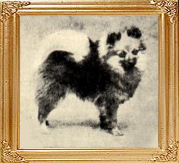 Shelton_Sable_Atom_Ch_21079.jpg