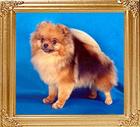 110.jpg