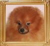 20550z_Canton_Alexander_Botton_8_mo.jpg