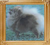 34113z_Dochlaggie_Dixie_Pixie_Aust_BISS_Ch.jpg