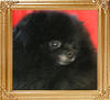 5737.jpg