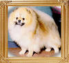 Apolloette_Jessie_James_Ch_9982.jpg