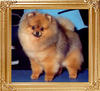 CR_Classic_Creation_Ch.jpg