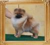 Canton_Fearless_Selene_7mos_2wek.jpg