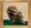 Canton_Jerrie_Sheldon_2mos_4164.jpg