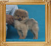 Canton_June_Allyson_2.4lbs_3mo_1wk_P5-6_3452.jpg