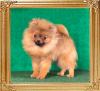 Canton_Ph_Savanna_Harvey_1274.jpg