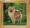 3.5lbs at 6months 1week Canton_Sunrise_Acceleration_6mo_1wk_3.5lbs_47143.jpg