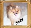 Finchs_Sally_Sue_Of_Park_Avenue.jpg