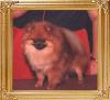 LLL_Dazzlin_Gold_Cindy_Lou__Ch_36558.jpg