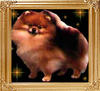 MILLAMORS_STYLE_MAKER_17792.jpg