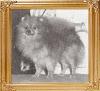 Mckameys_Enchanting_Pepper_Ch_31067.jpg