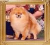 Watts_Little_Le_Renee_Ch_40819.jpg