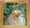 Windy_Hill_Mite-E-_Might_Acts_Up_10696.jpg