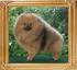 18194y_Bridget_Jones_8_n_half_mos.jpg