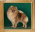 Canton_Dragon_Love_1_yr_9_mo_2_weeks_8706.jpg