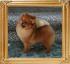 Canton_Dreamkeeper__46102.jpg