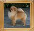 Canton_Fearless_5mo_2wk_3.8lbs__4060_FINAL.jpg
