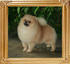 Canton_John_Lennon_7mo_1wk_5lbs_final_47534.jpg