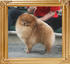 Canton_King_Maker_1yr_7mon_5.04lbs_5772.jpg