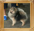 Canton_Kublai_Khan_1yr_1mo_5.5lbs_final_47395.jpg