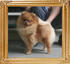 Canton_Magdalena_Jasek_1yr_4.73lbs_2636.jpg